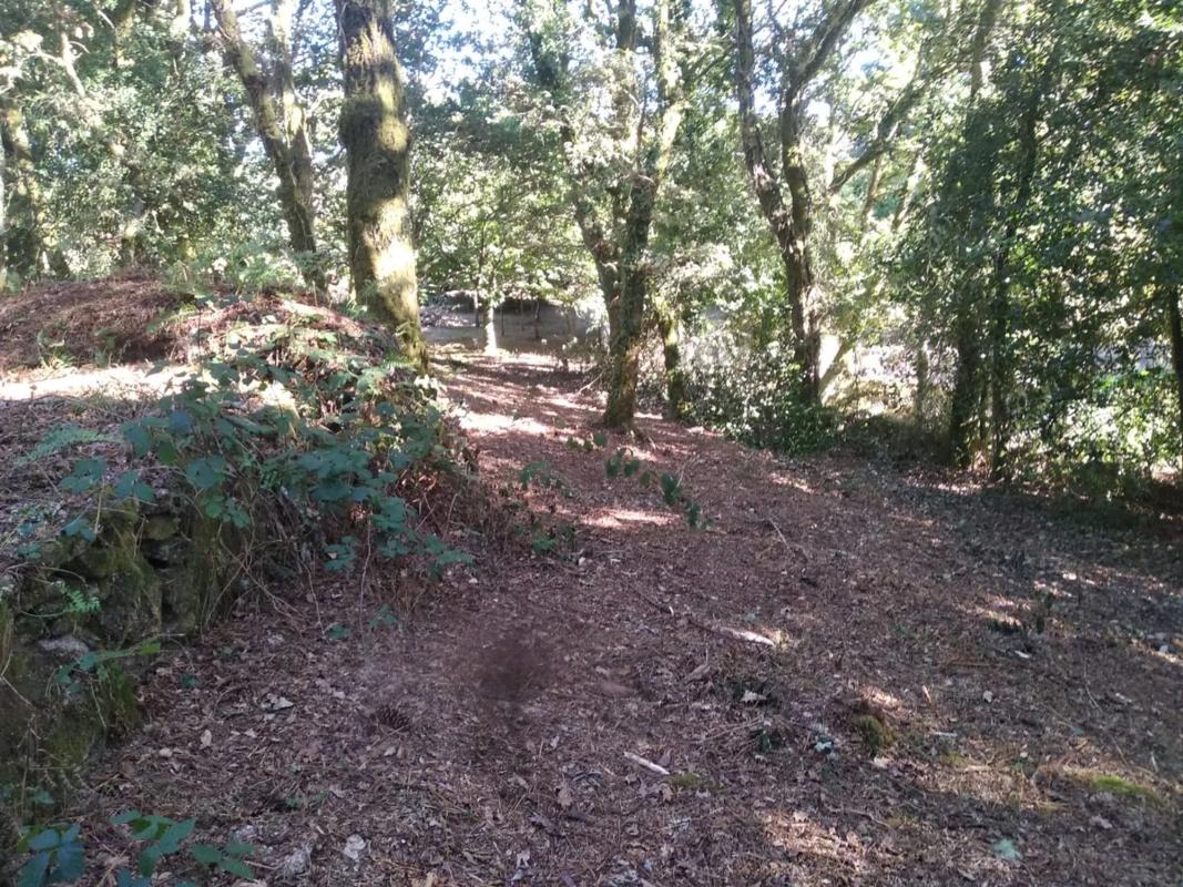 Terreno en venta en Cerdedo-Cotobade, Pontevedra photo 4