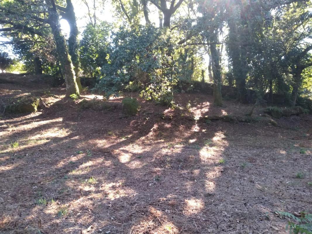 Terreno en venta en Cerdedo-Cotobade, Pontevedra photo 5