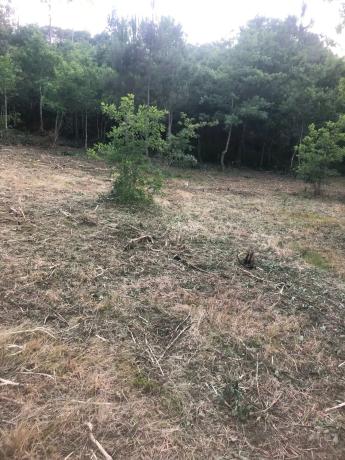 Terreno en Ep-0407 s/n photo 2