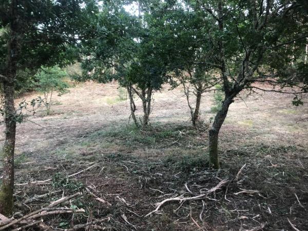 Terreno en Ep-0407 s/n photo 3