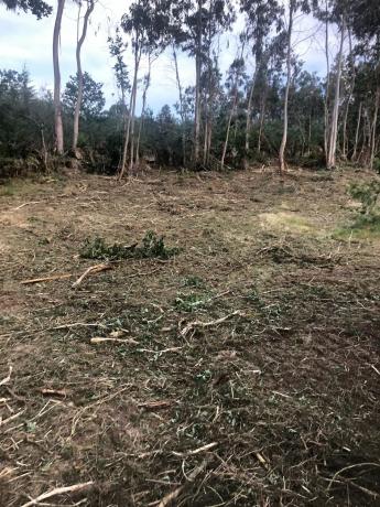Terreno en Ep-0407 s/n photo 4