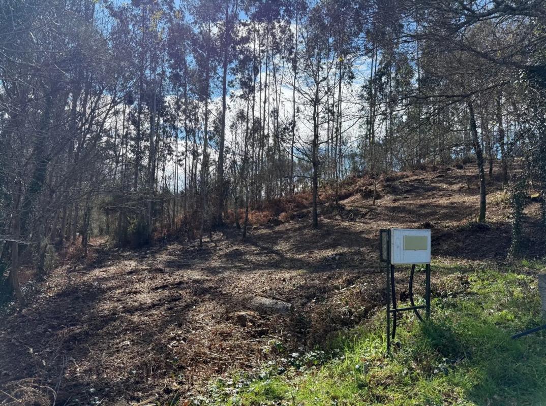 Land for sale in Cerdedo-Cotobade, Pontevedra photo 3
