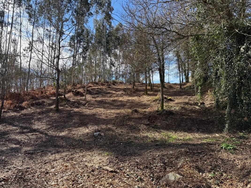 Land for sale in Cerdedo-Cotobade, Pontevedra photo 5