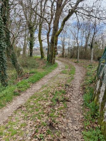 Terreno en Mourente s/n photo 1