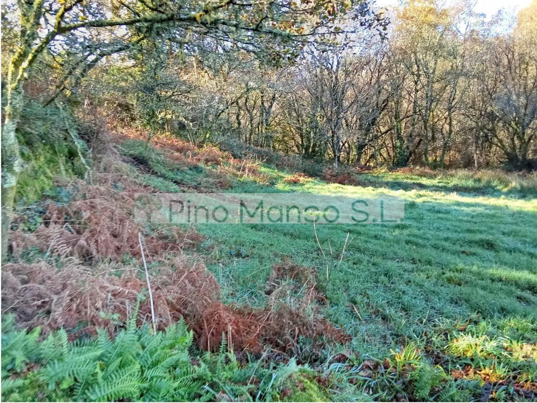 Terreno en venta en Cerdedo-Cotobade, Pontevedra photo 3