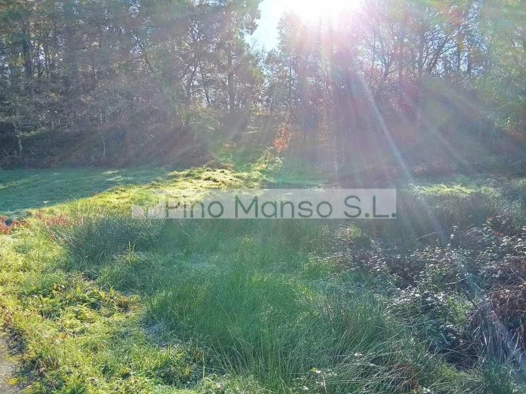 Terreno en venta en Cerdedo-Cotobade, Pontevedra photo 4