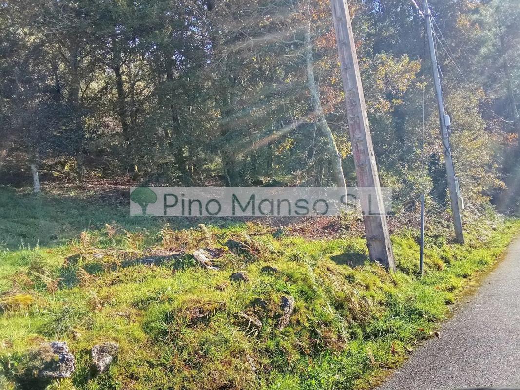Land for sale in Cerdedo-Cotobade, Pontevedra photo 4