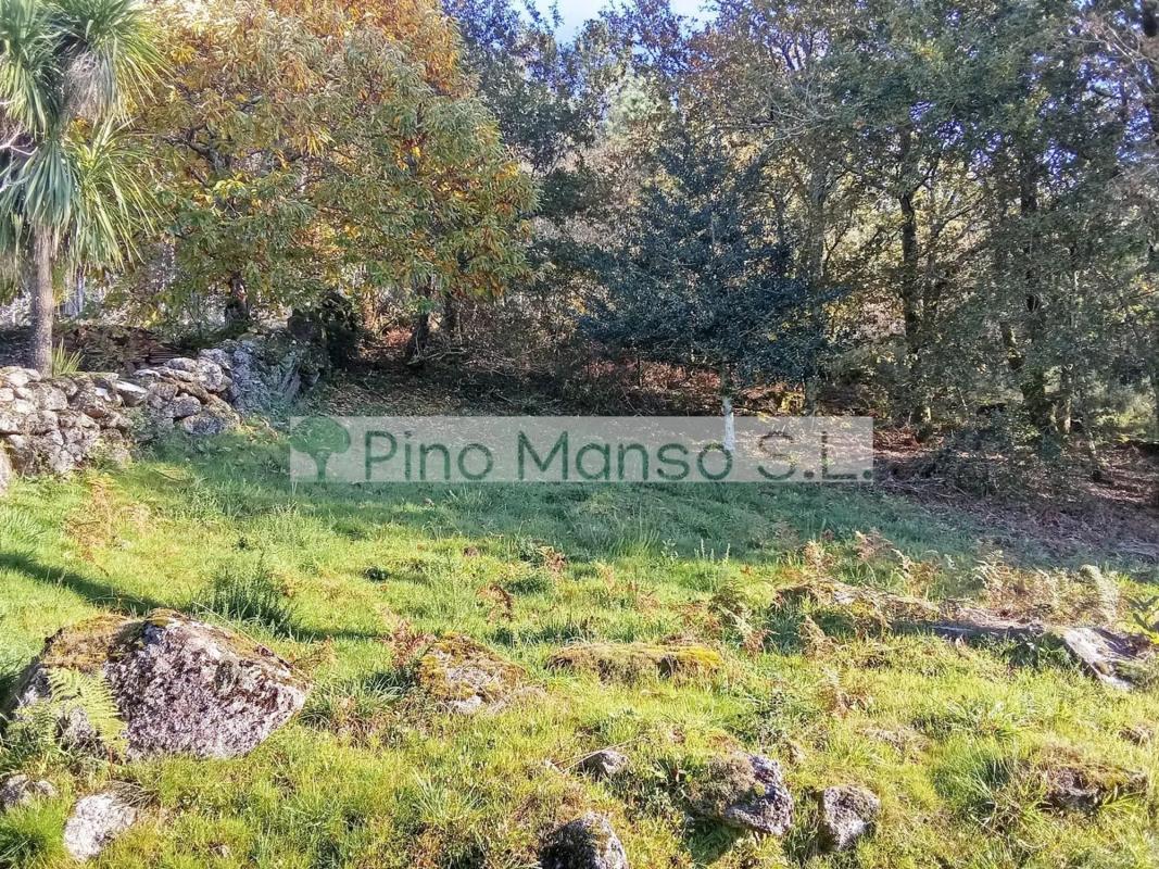 Land for sale in Cerdedo-Cotobade, Pontevedra photo 5