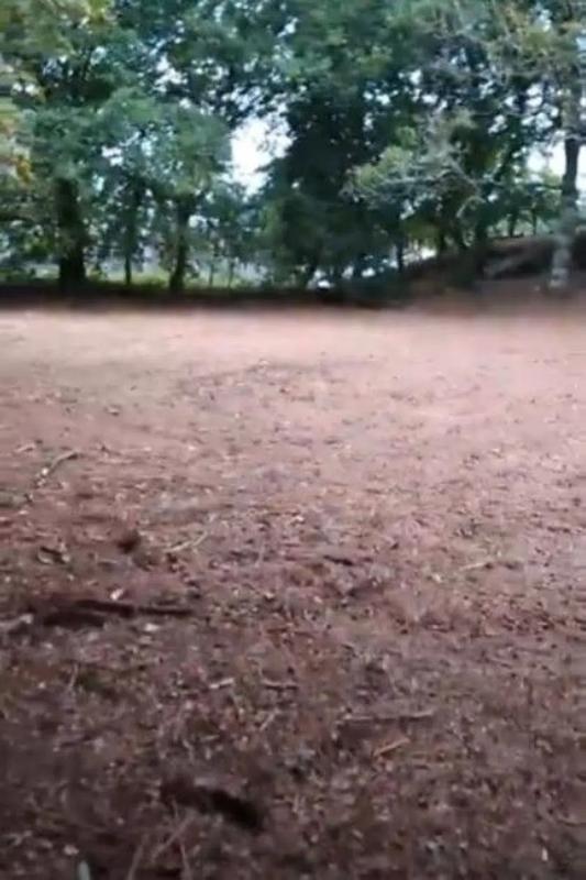 Terreno en venta en Ponte-Caldelas, Pontevedra photo 4