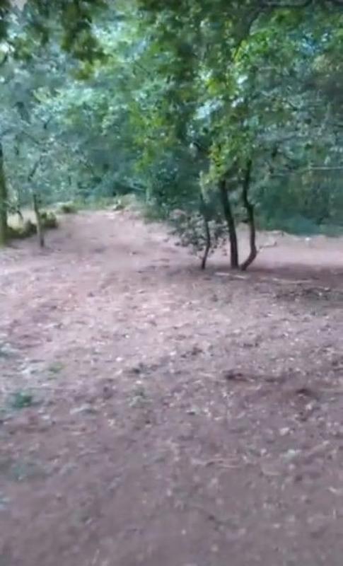 Terreno en venta en Ponte-Caldelas, Pontevedra photo 5