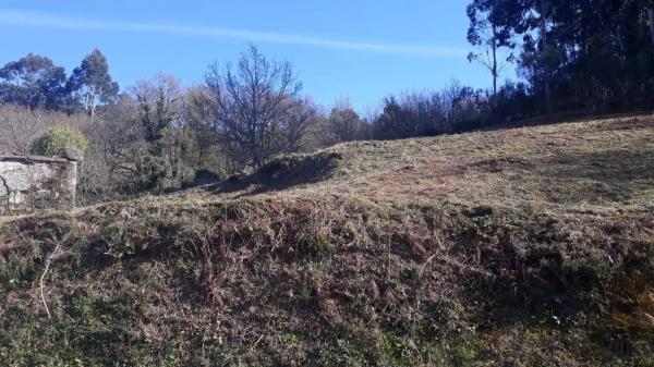 Terreno en Po-235 photo 1