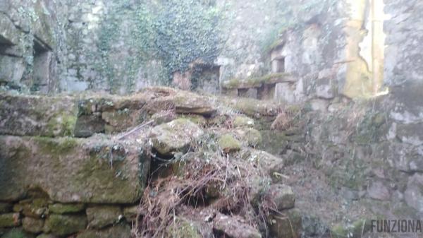 Terreno en Po-235 photo 3