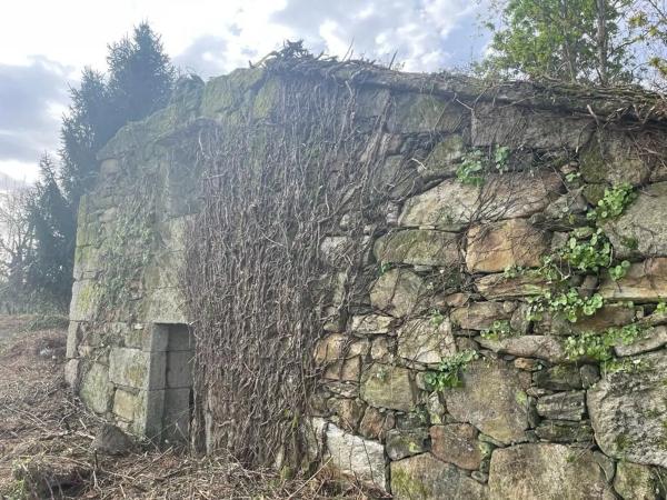 Terreno en Bouza, 110 photo 2