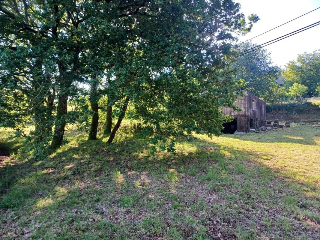 Terreno en venta en Ponte-Caldelas, Pontevedra photo 3