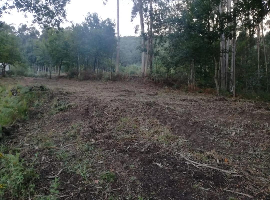 Участок земли на продажу в Томинью, Пontevedra photo 3