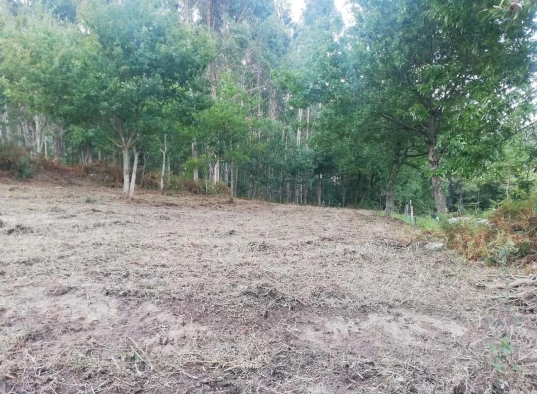 Участок земли на продажу в Томинью, Пontevedra photo 5