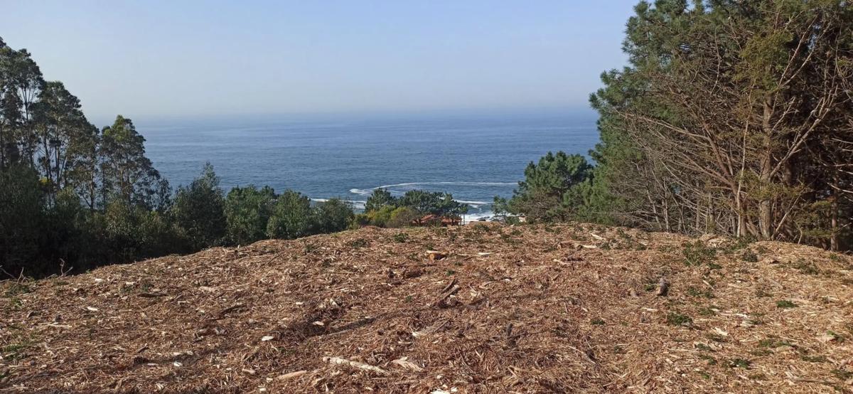 Terreno en venta en Oia, Pontevedra photo 3