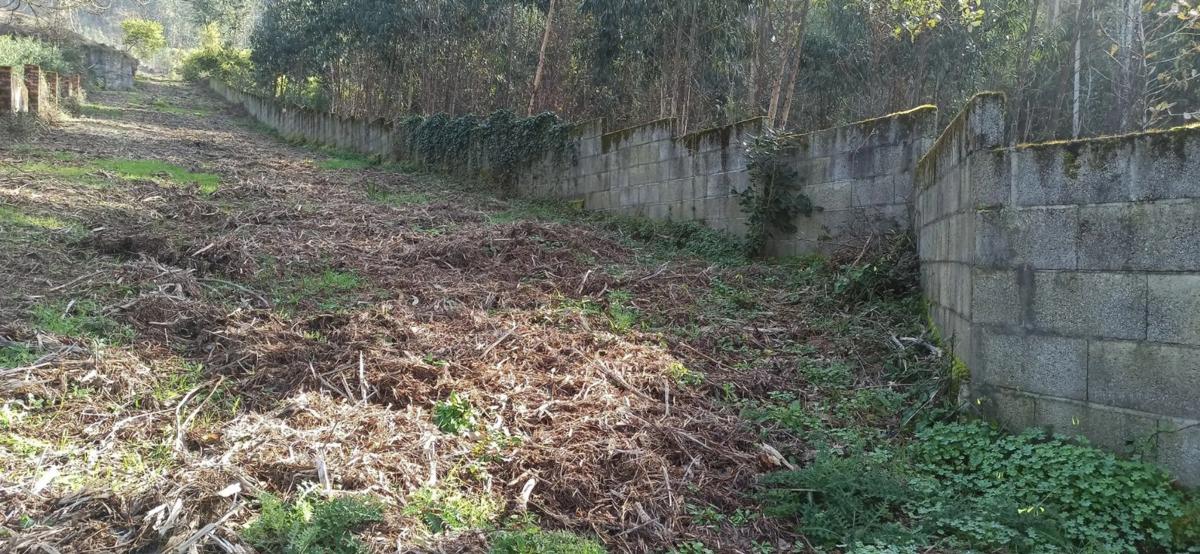 Terreno en venta en Oia, Pontevedra photo 5