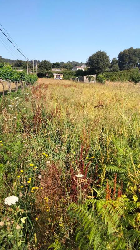 Land for sale in Tomiño, Pontevedra photo 3