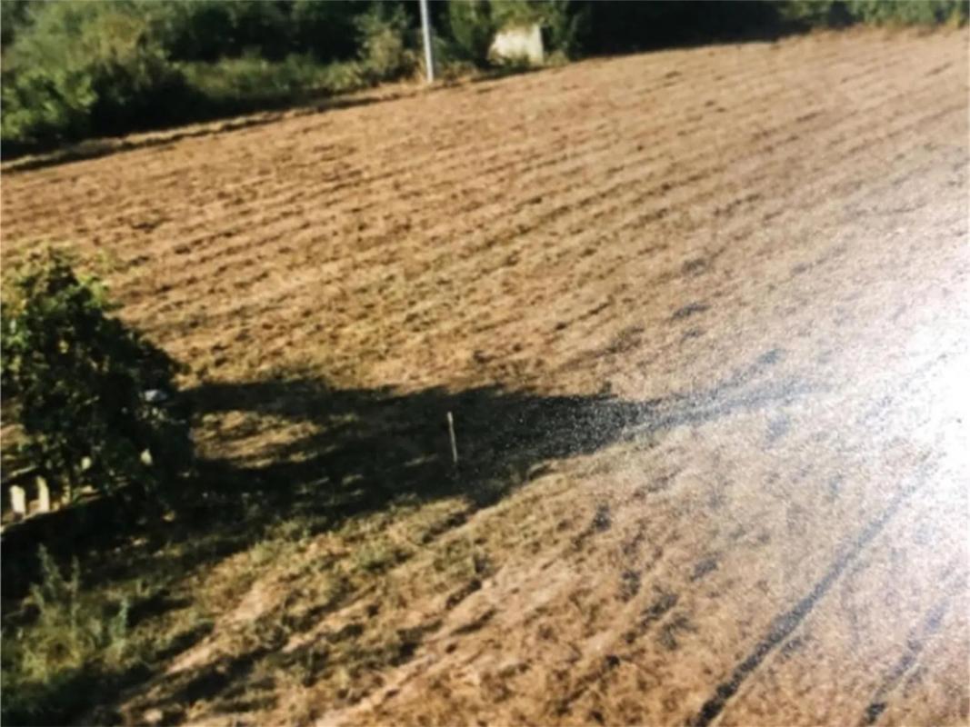 Terreno en venta en O Rosal, Pontevedra photo 3