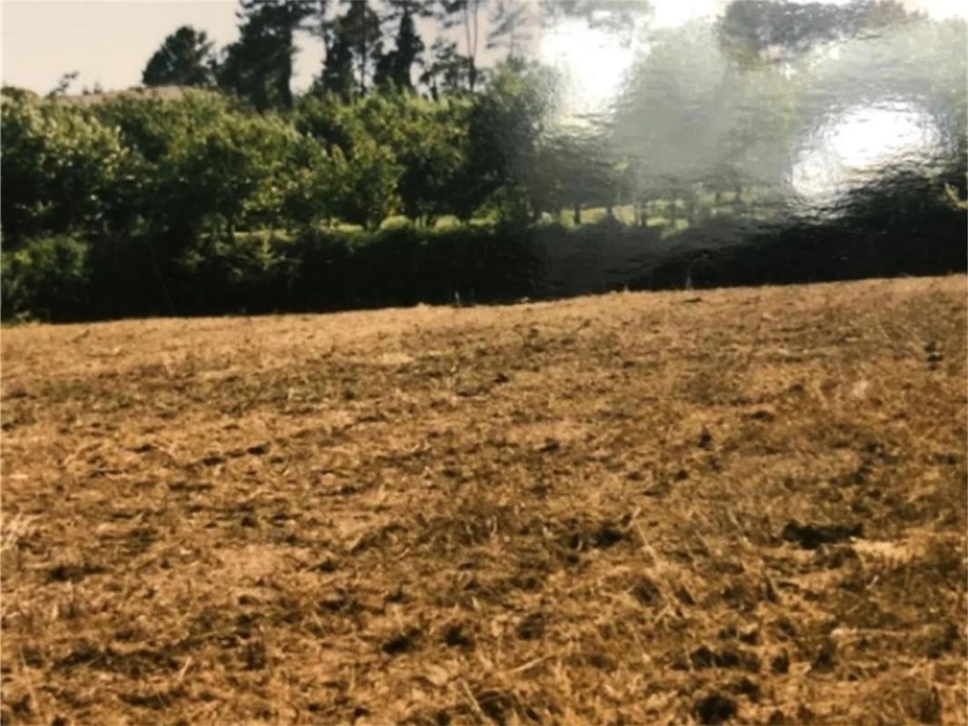 Terreno en venta en O Rosal, Pontevedra photo 4