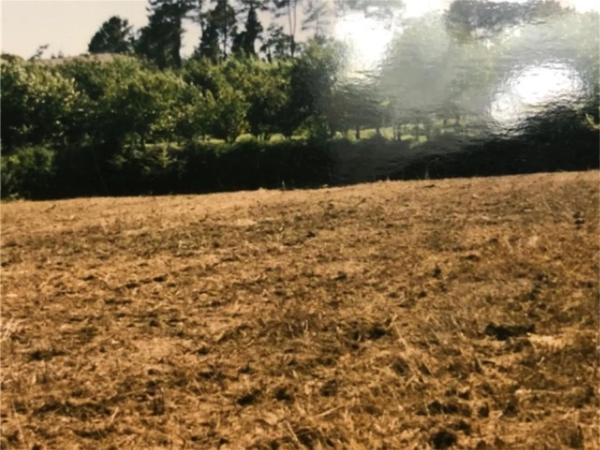 Terreno en Mondoñeda, 1 photo 4