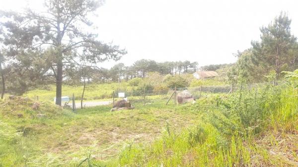 Terreno en Portocelo photo 1