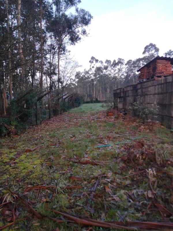 Działka na sprzedaż w Tomiño, Pontevedra photo 2