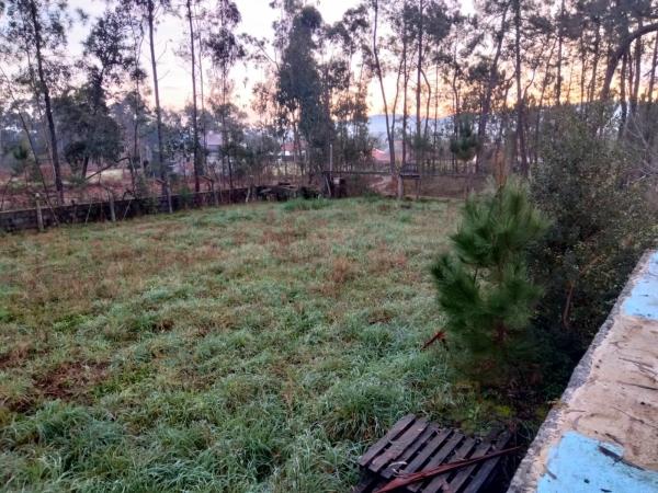 Terreno en Tomiño photo 4