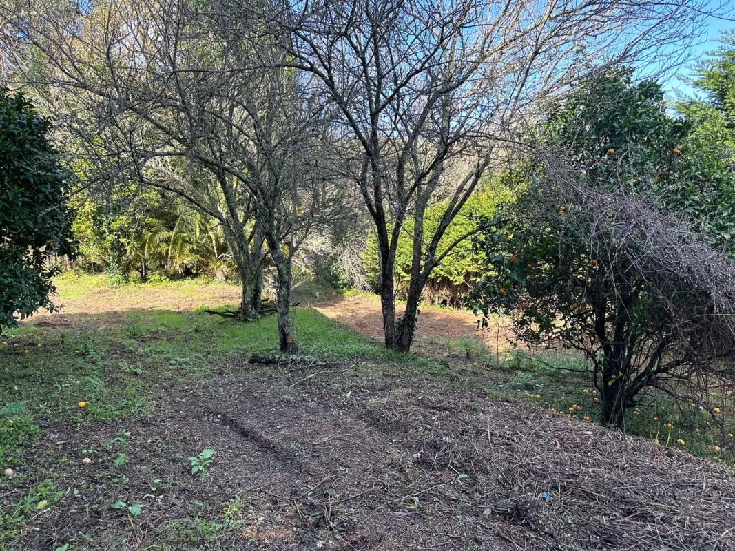 Terreno en venta en O Rosal, Pontevedra photo 2
