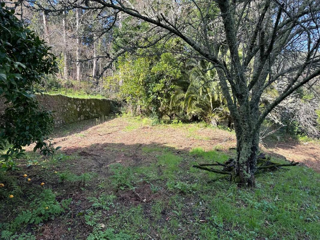 Terreno en venta en O Rosal, Pontevedra photo 3