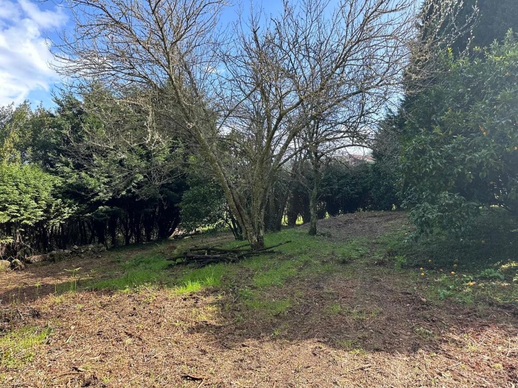 Terreno en venta en O Rosal, Pontevedra photo 4