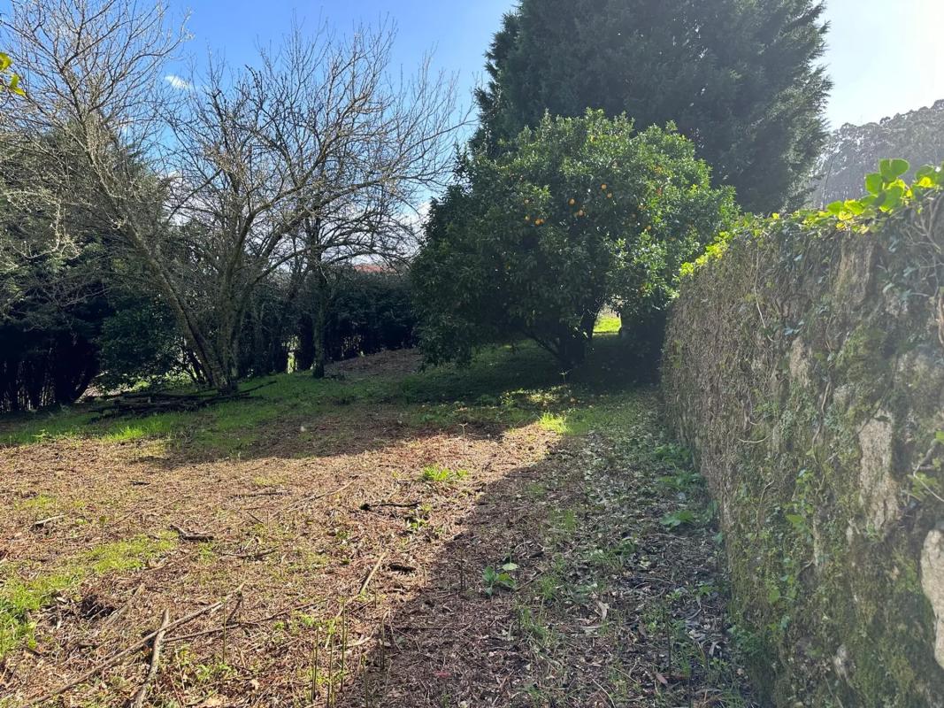 Terreno en venta en O Rosal, Pontevedra photo 5