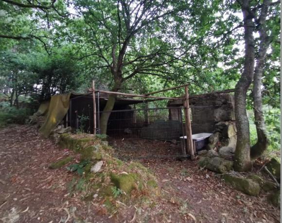 Terreno en Ribadelouro, Cotarel s/n photo 1
