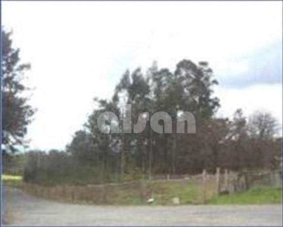Terreno en Lugar a Chan photo 4
