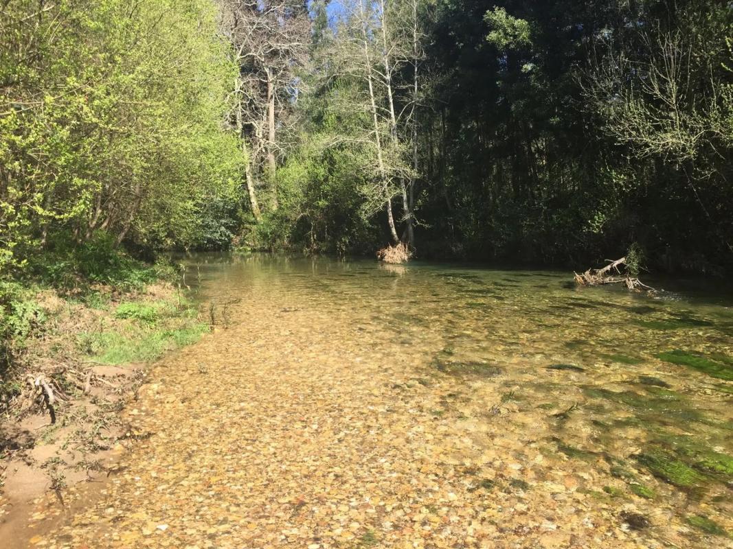 Land for sale in The Rosal, Pontevedra photo 2