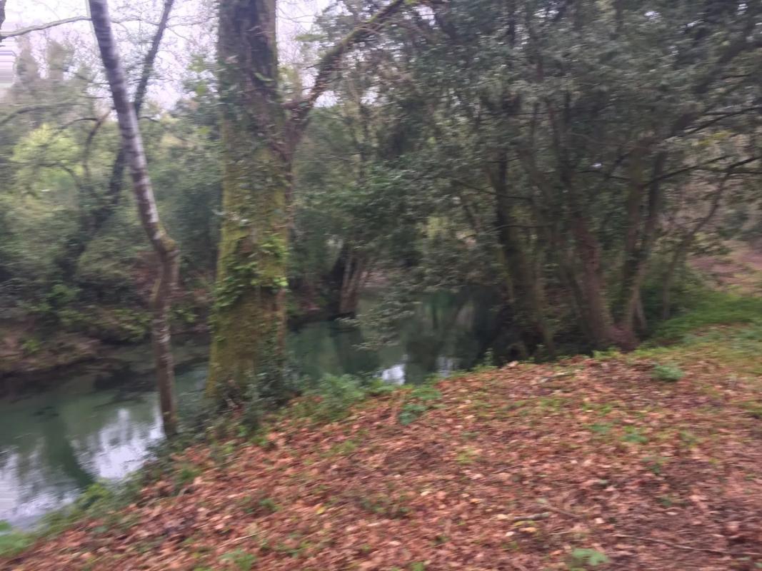 Land for sale in The Rosal, Pontevedra photo 3