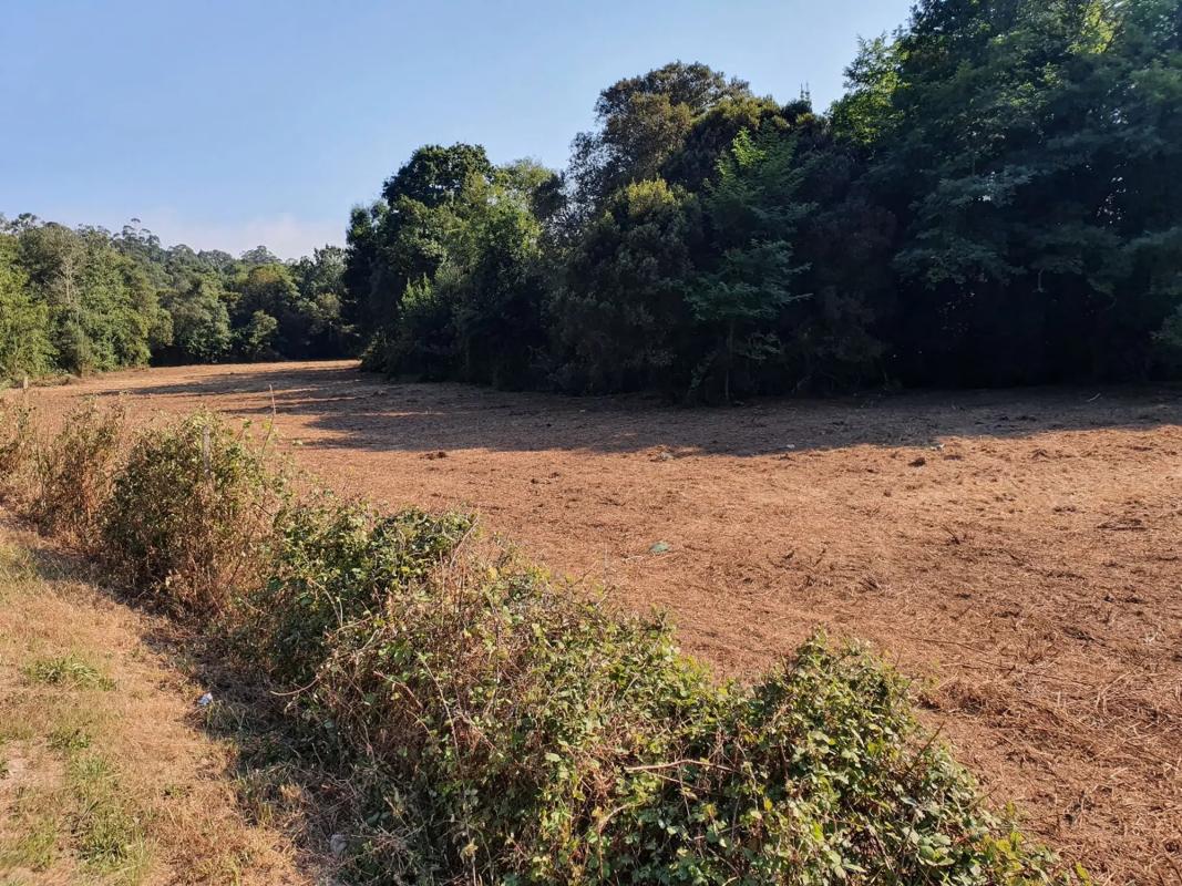 Land for sale in The Rosal, Pontevedra photo 5