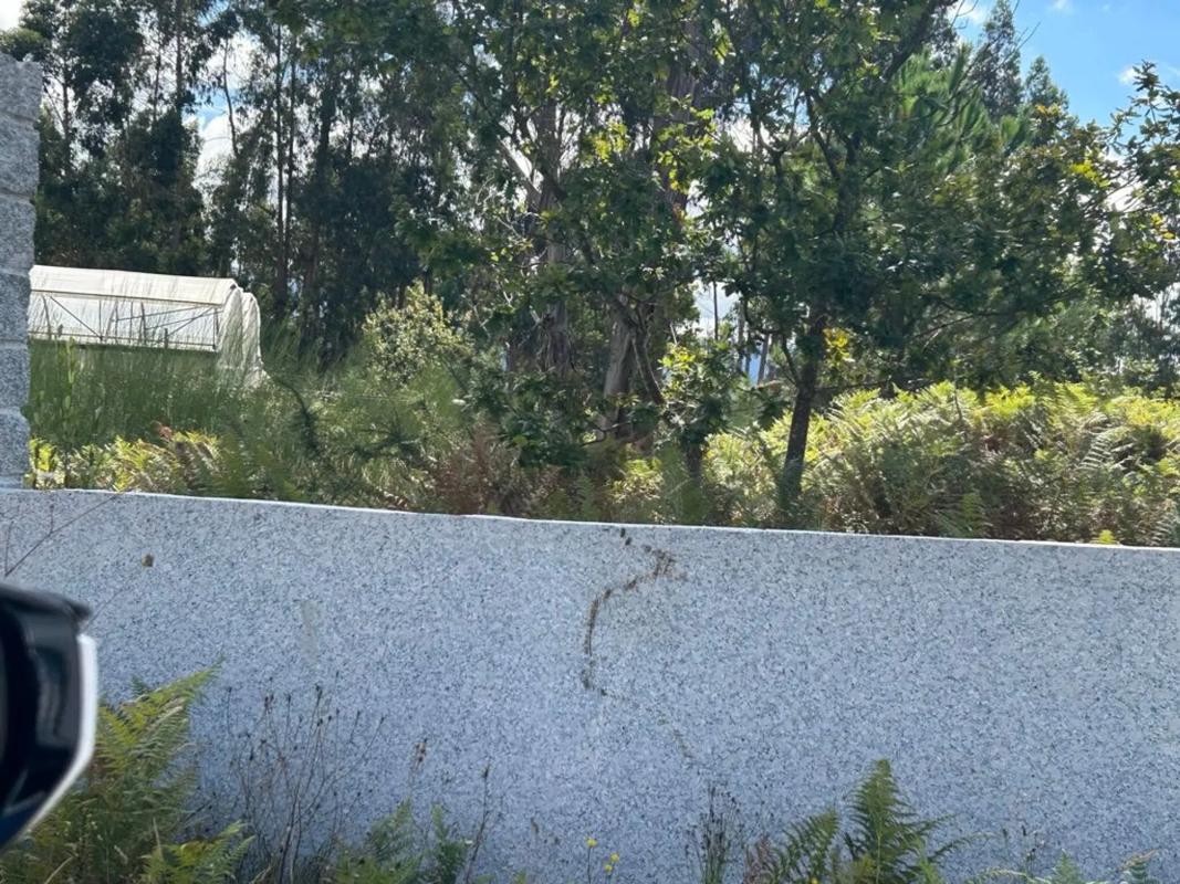 Terreno en venta en Tomiño, Pontevedra photo 4