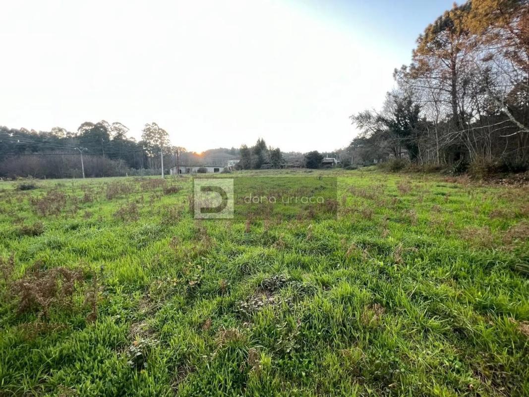 Land for sale in Tui, Pontevedra photo 5