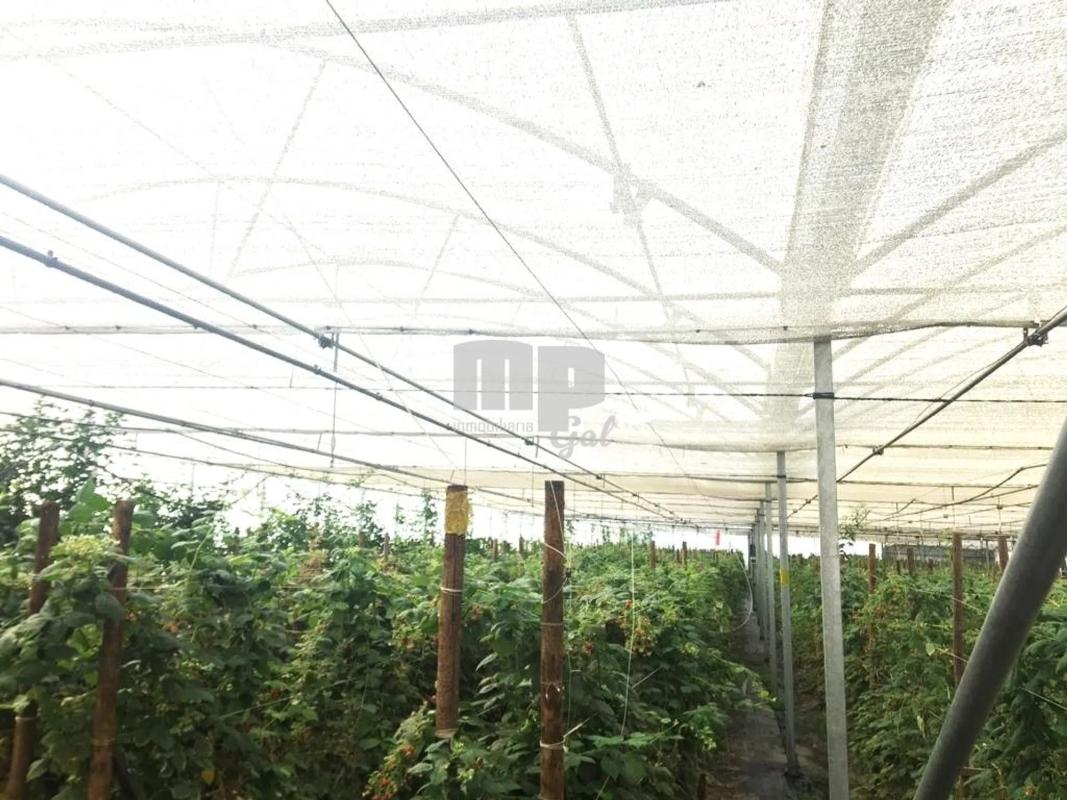 Terreno en venta en Tomiño, Pontevedra photo 1