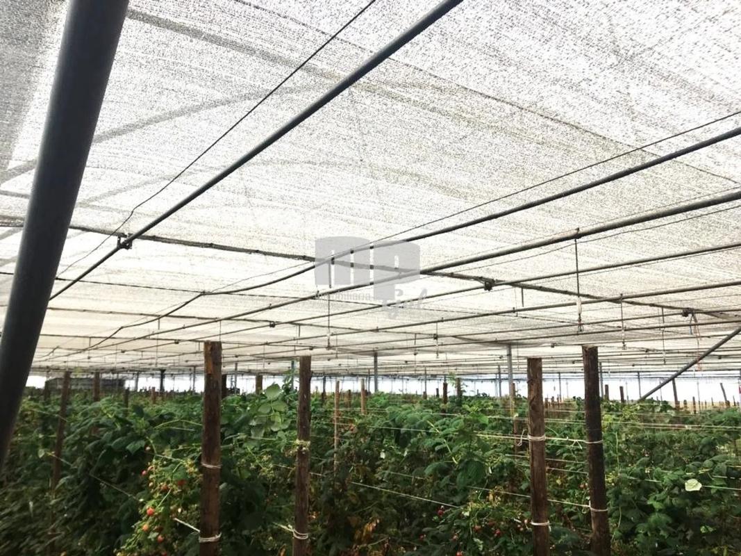 Terreno en venta en Tomiño, Pontevedra photo 2