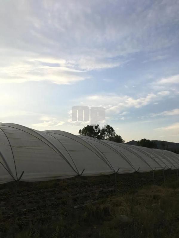 Terreno en venta en Tomiño, Pontevedra photo 5