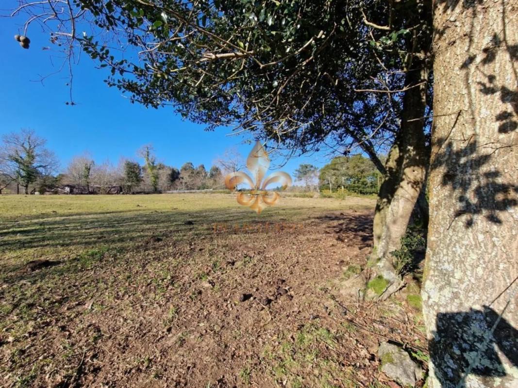 Terreno en venta en Tomiño, Pontevedra photo 5