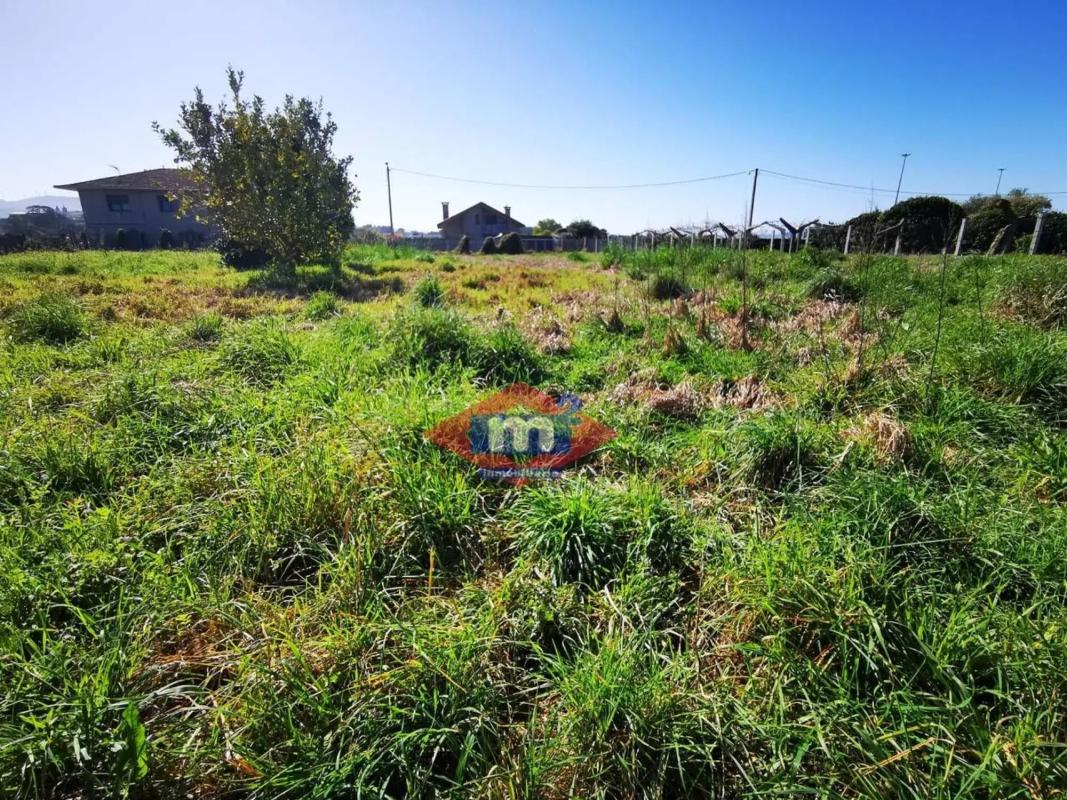 Terreno en venta en Tui, Pontevedra photo 4