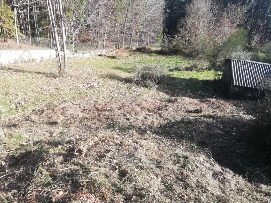 Terreno en venta en Tomiño, Pontevedra photo 4