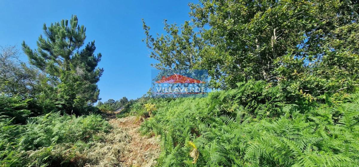 Terreno en venta en Cangas, Pontevedra photo 3