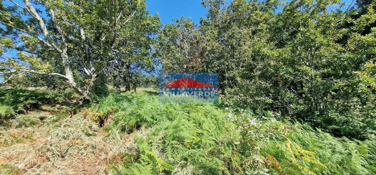 Terreno en venta en Cangas, Pontevedra photo 4