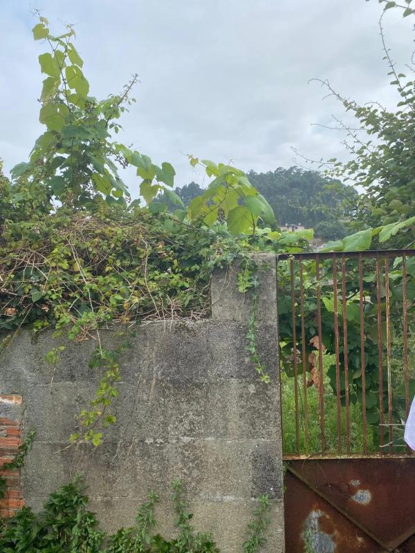 Terreno en venta en Cangas, Pontevedra photo 3