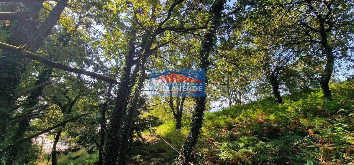 Terreno en venta en Cangas, Pontevedra photo 3